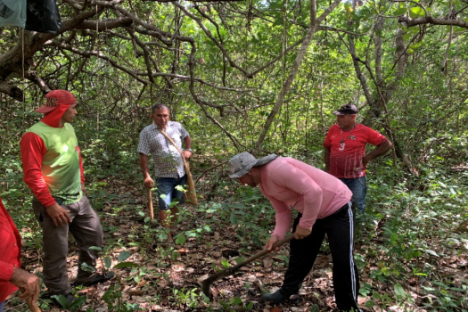 Celebrating Indigenous Beekeeping Practices on World Bee Day